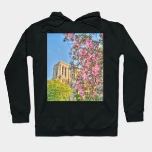 Blossoms at the Dame Hoodie